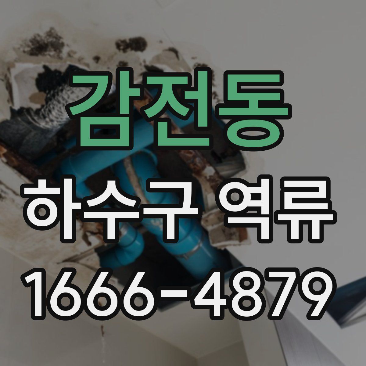 감전동 하수구 역류