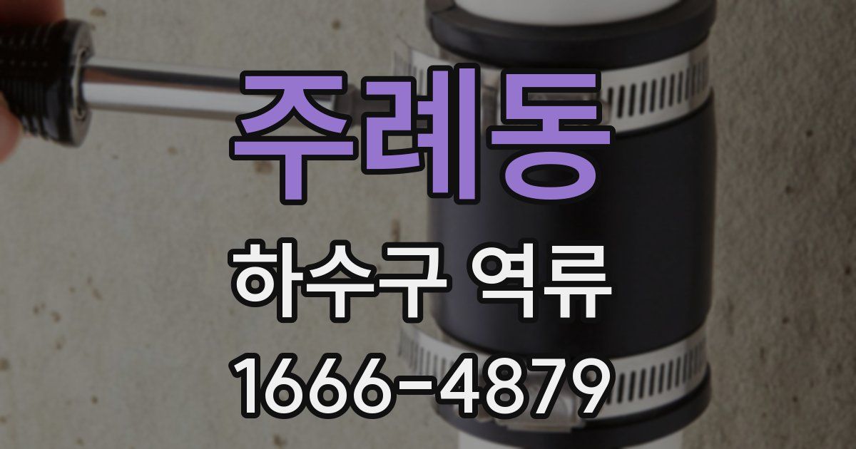 주례동 하수구 역류