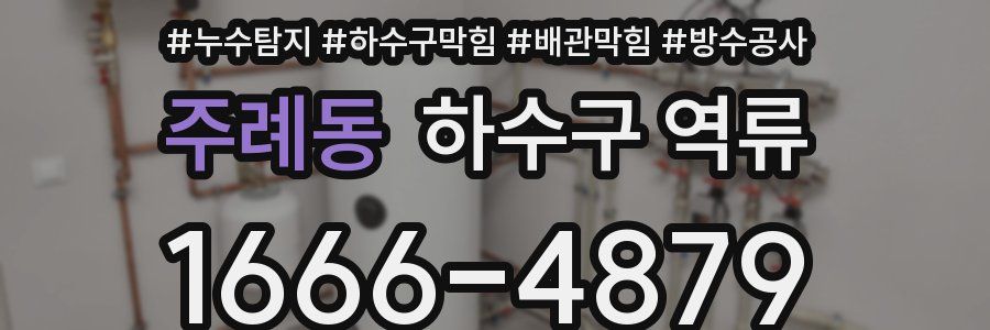 주례동 하수구 역류