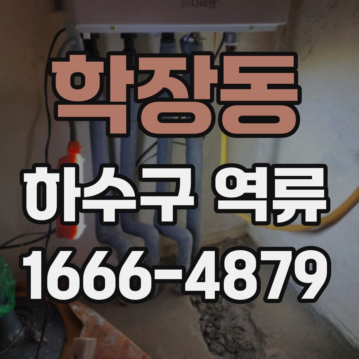 학장동 하수구 역류