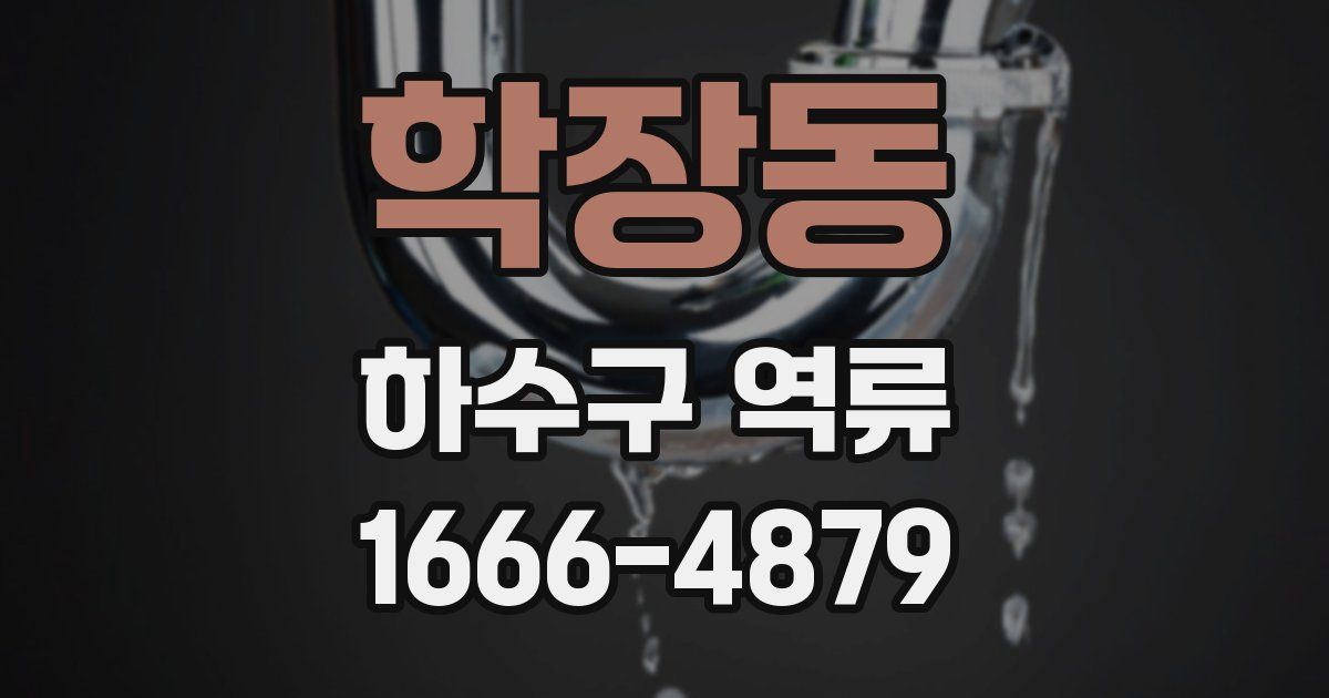 학장동 하수구 역류