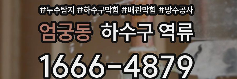 엄궁동 하수구 역류