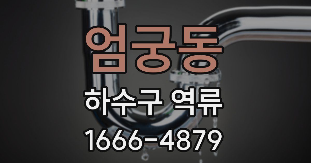 엄궁동 하수구 역류
