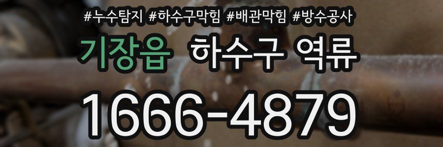 기장읍 하수구 역류