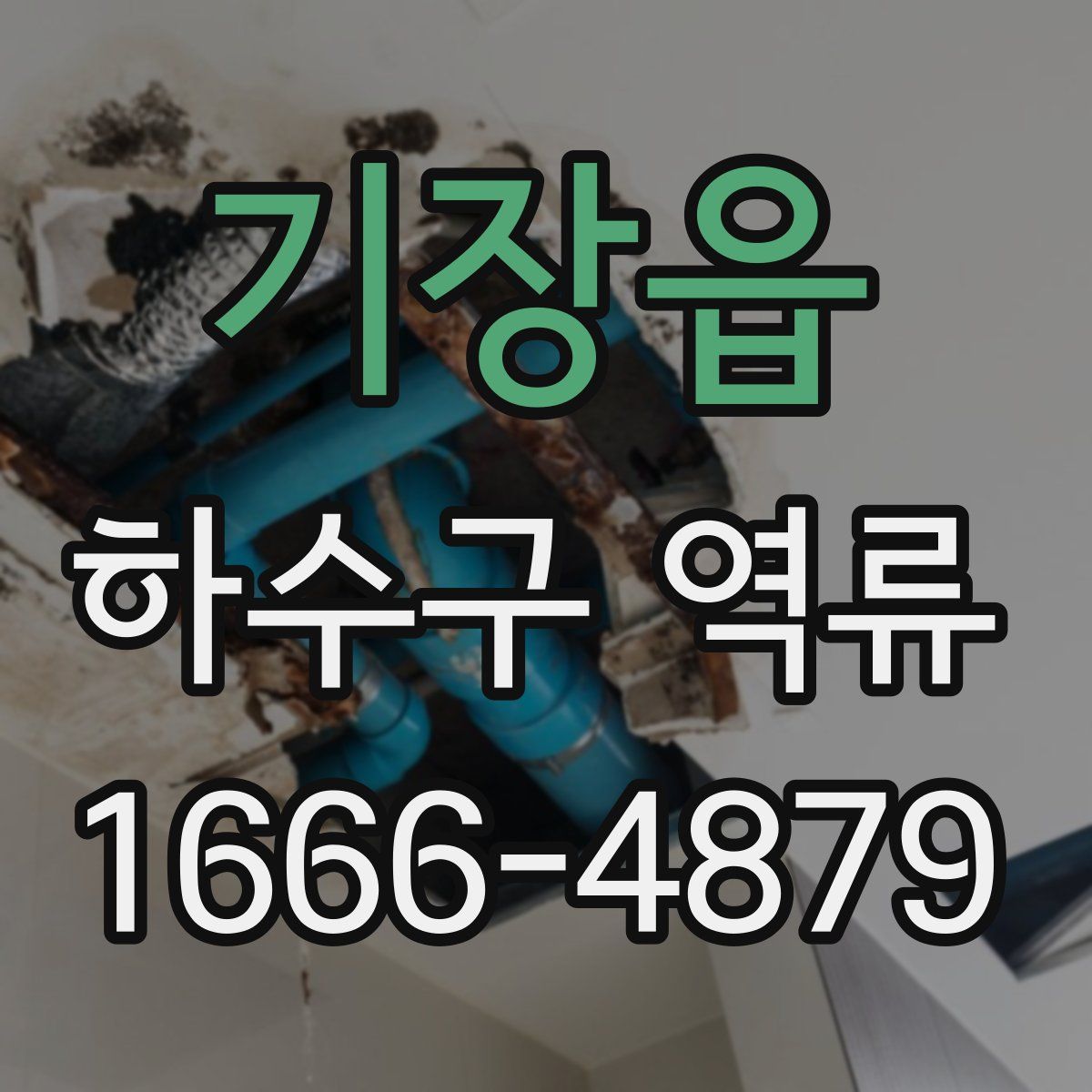 기장읍 하수구 역류