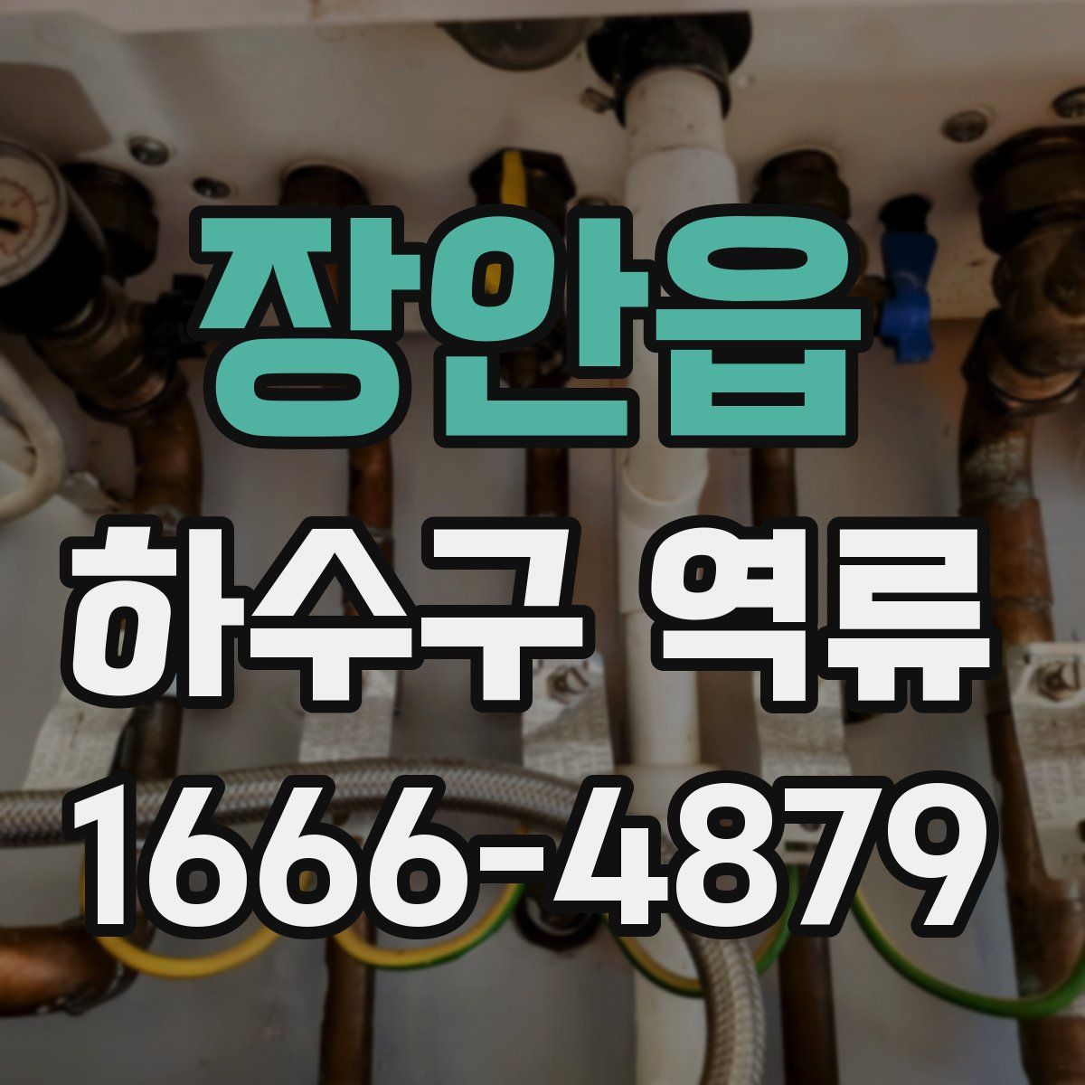 장안읍 하수구 역류