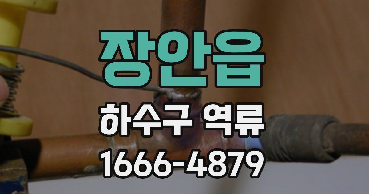 장안읍 하수구 역류