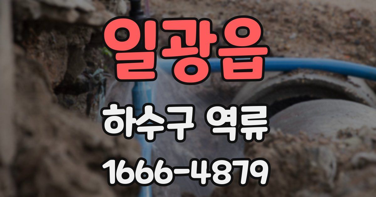 일광읍 하수구 역류