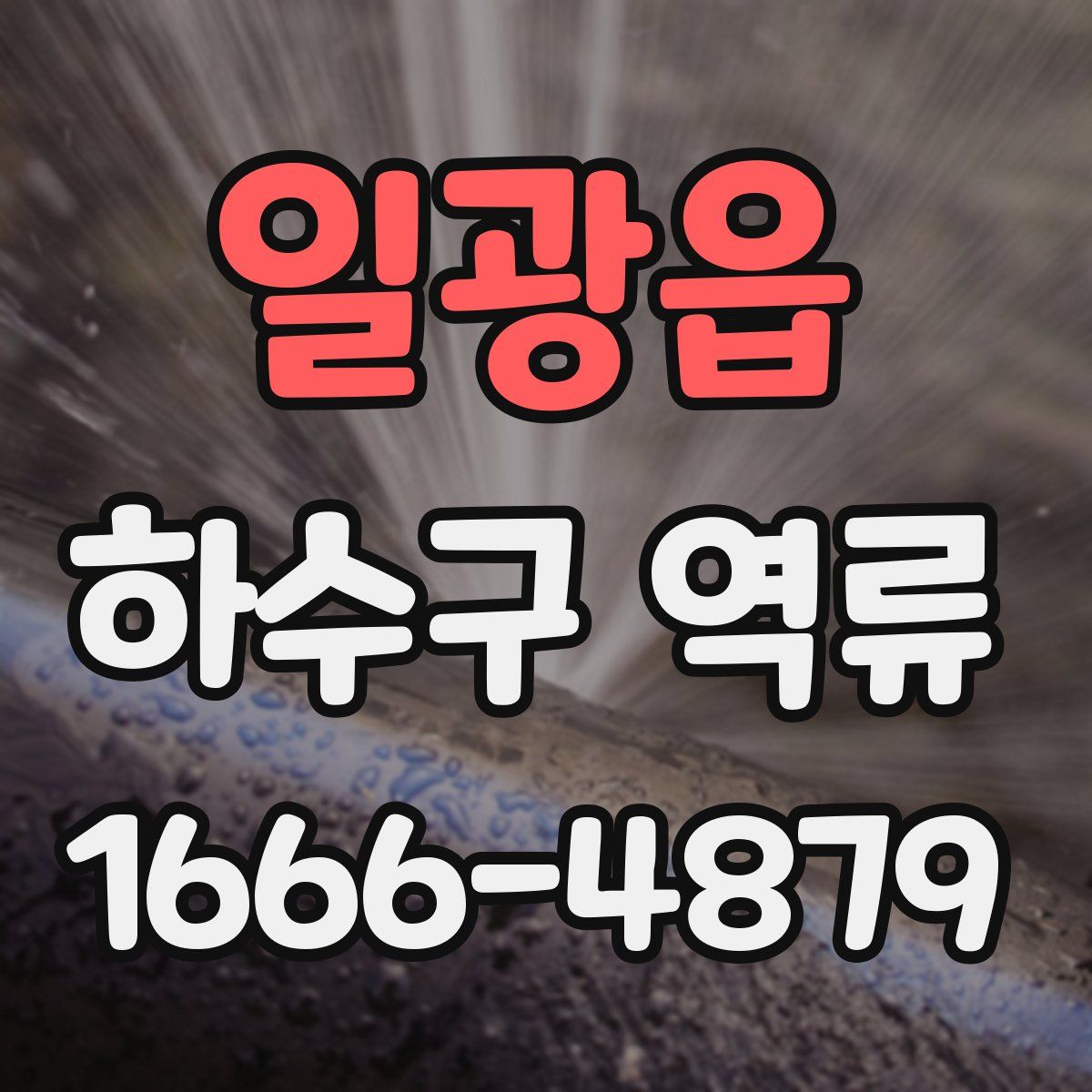 일광읍 하수구 역류