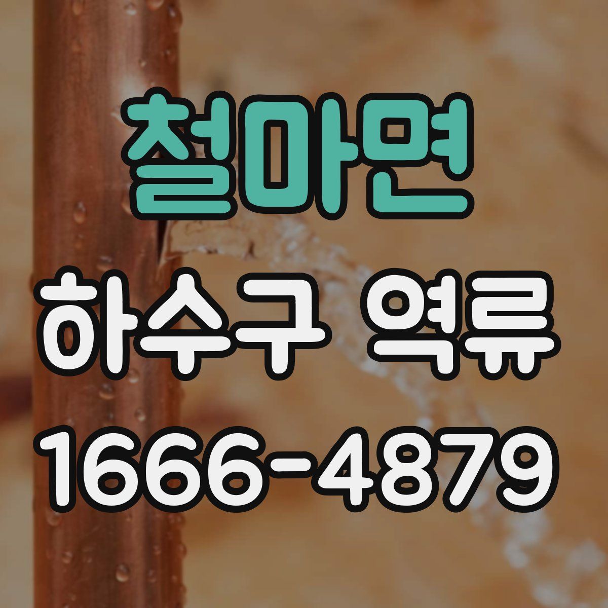 철마면 하수구 역류