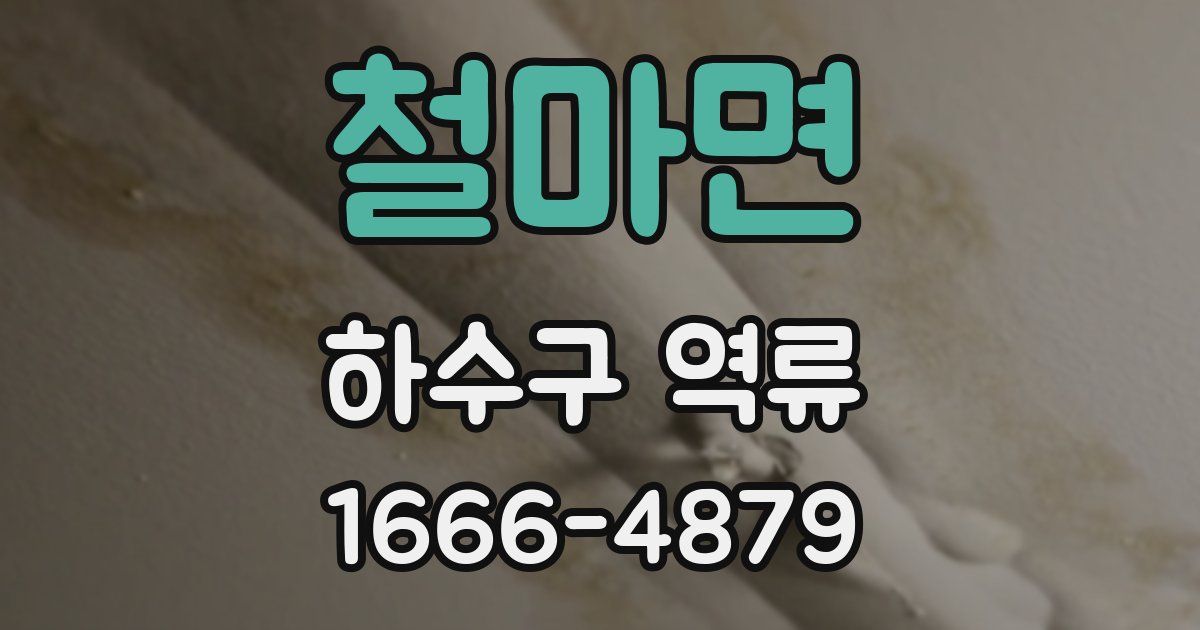 철마면 하수구 역류