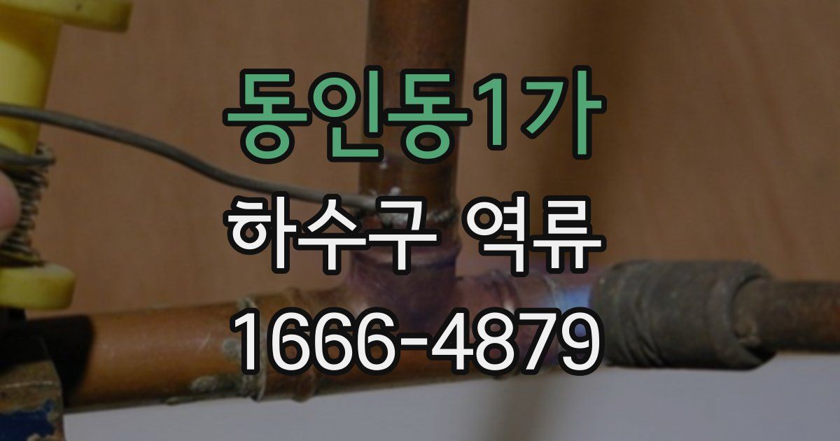 동인동1가 하수구 역류