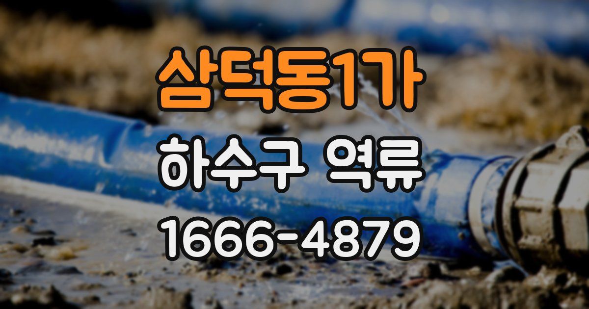 삼덕동1가 하수구 역류