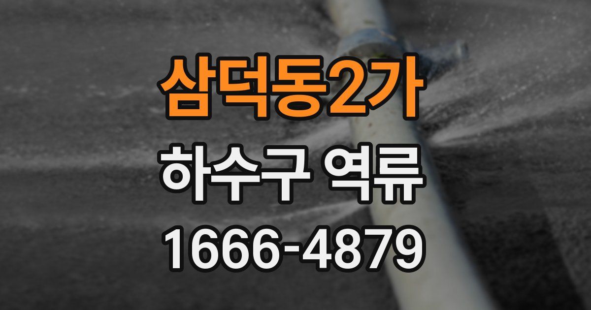 삼덕동2가 하수구 역류