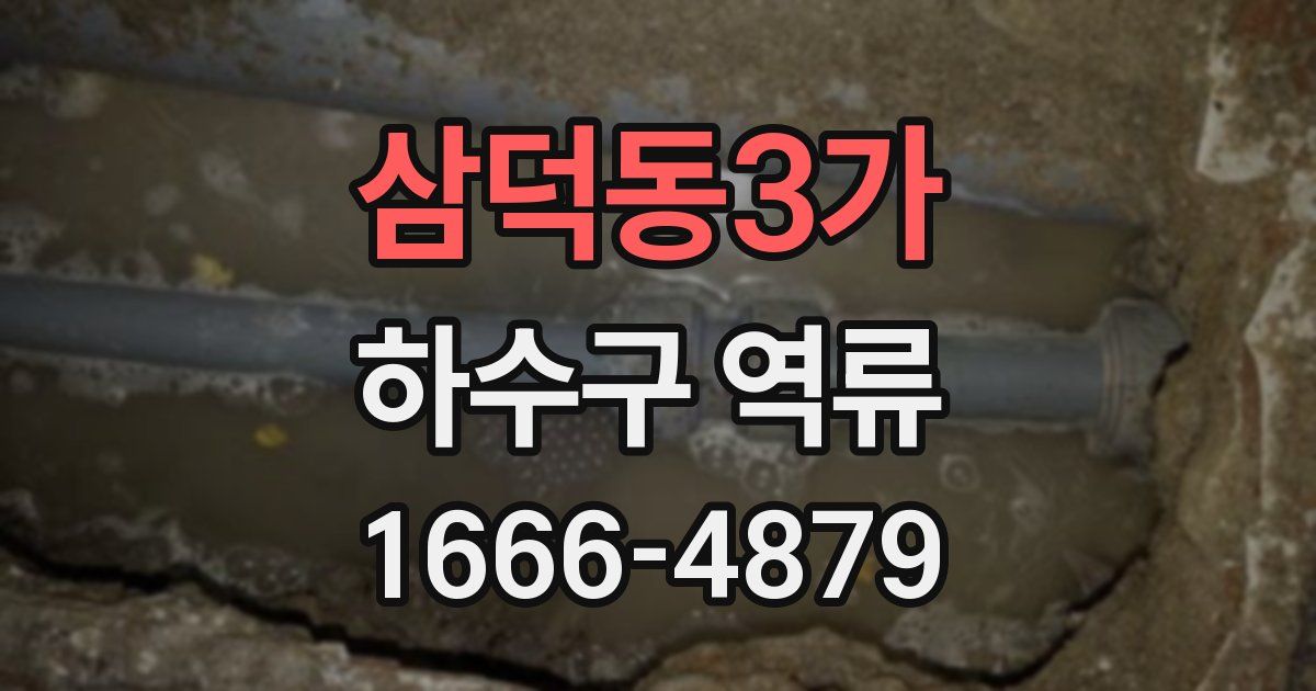 삼덕동3가 하수구 역류