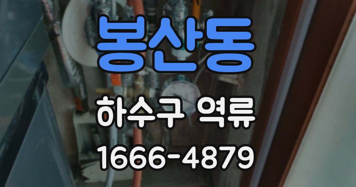 봉산동 하수구 역류