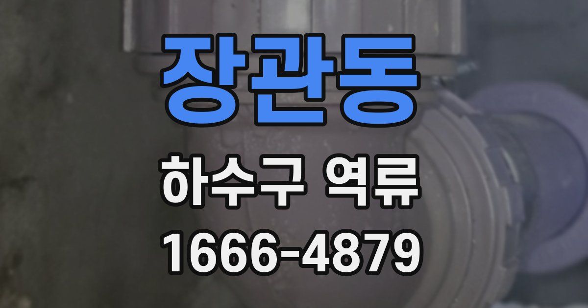 장관동 하수구 역류