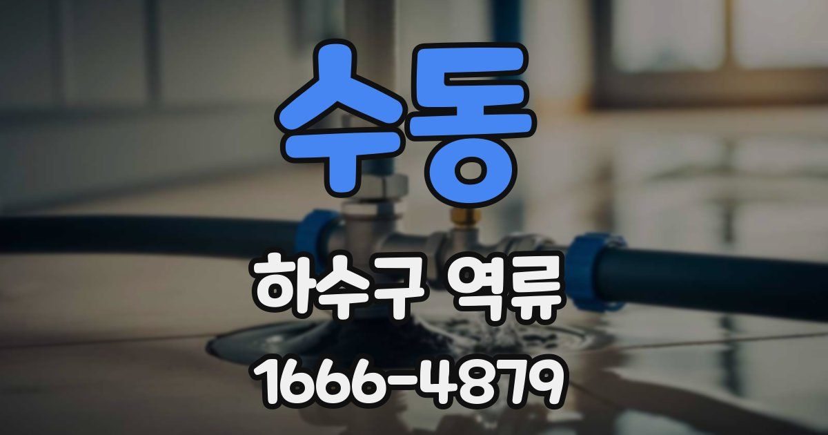 수동 하수구 역류