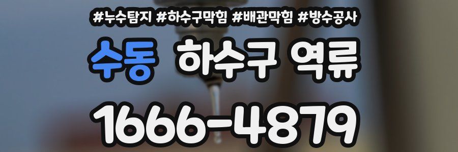 수동 하수구 역류