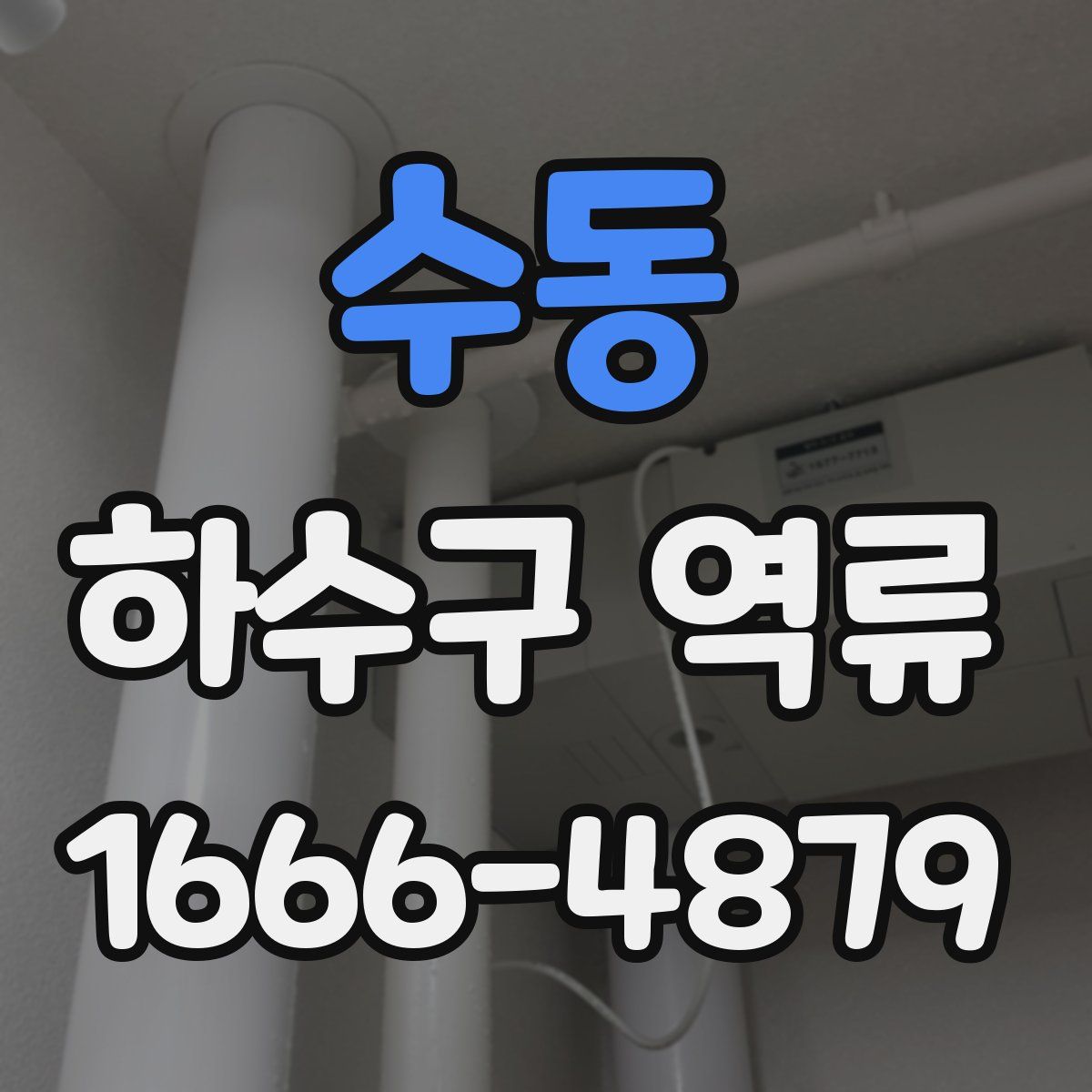 수동 하수구 역류