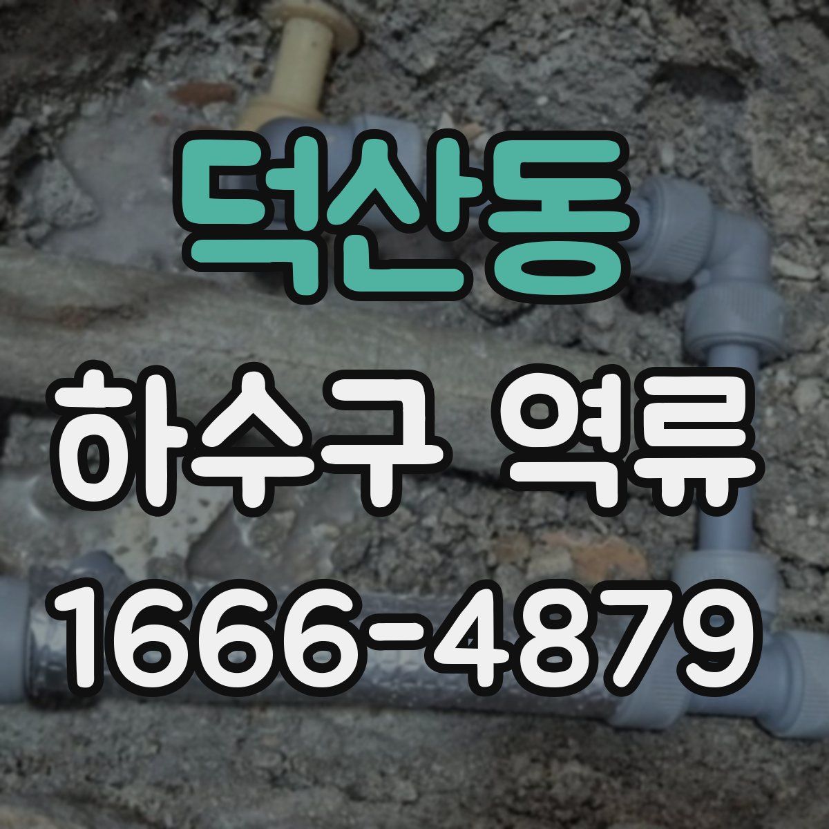 덕산동 하수구 역류