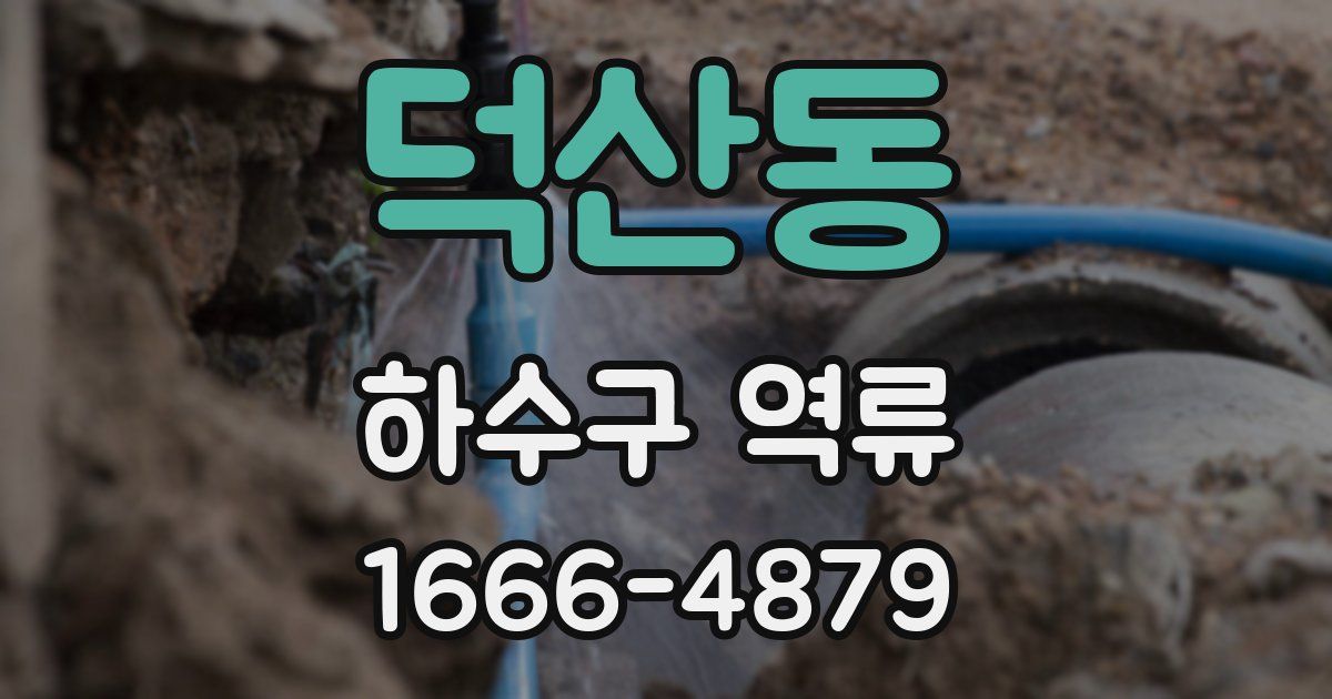 덕산동 하수구 역류