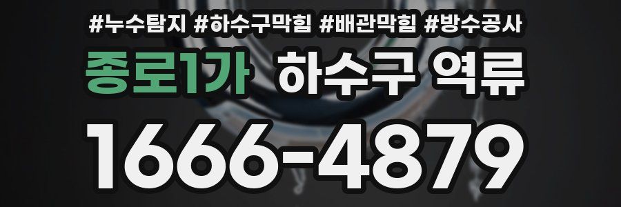 종로1가 하수구 역류