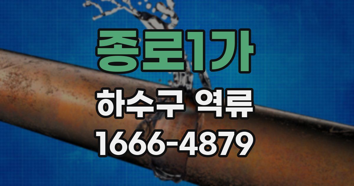 종로1가 하수구 역류