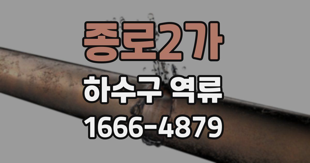 종로2가 하수구 역류