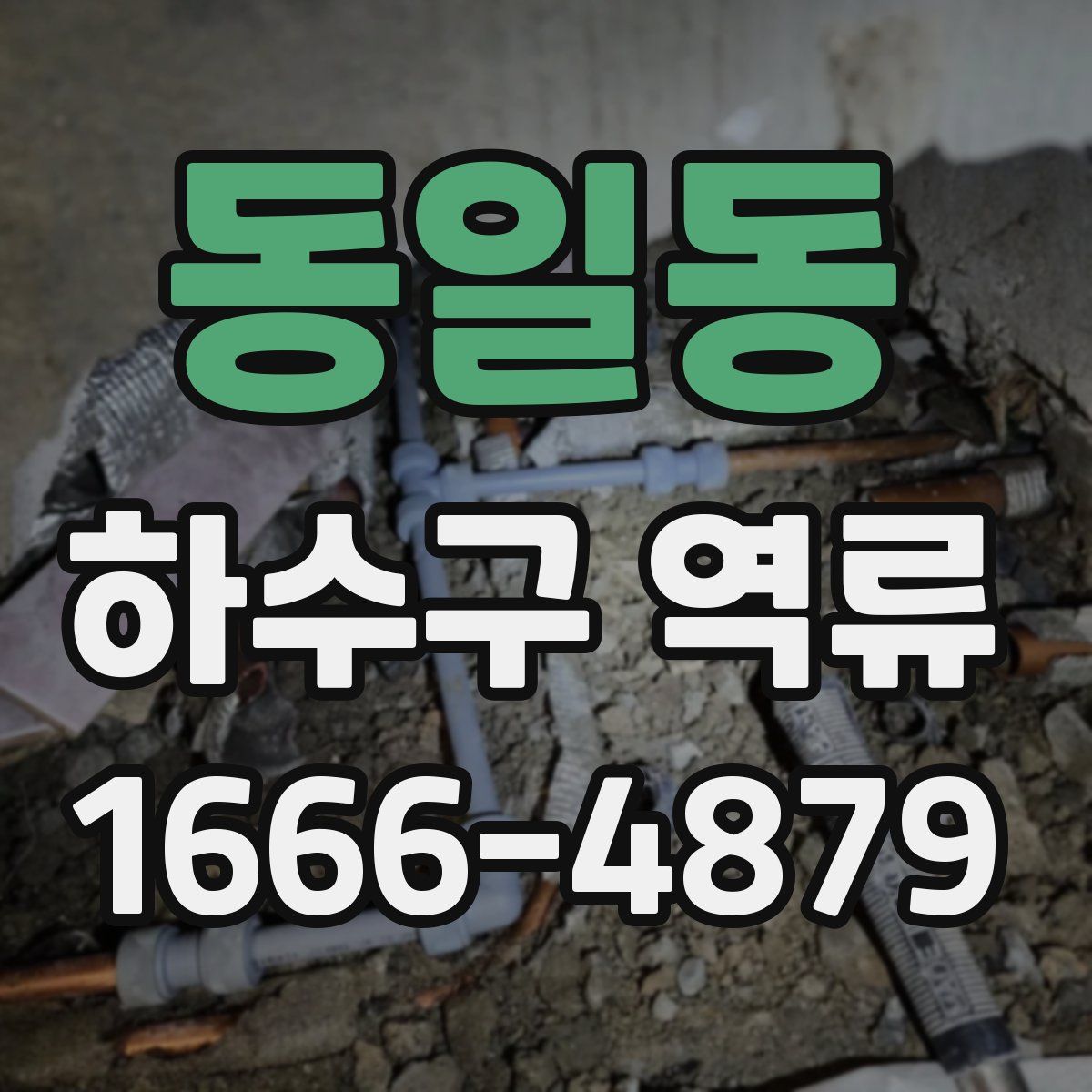 동일동 하수구 역류