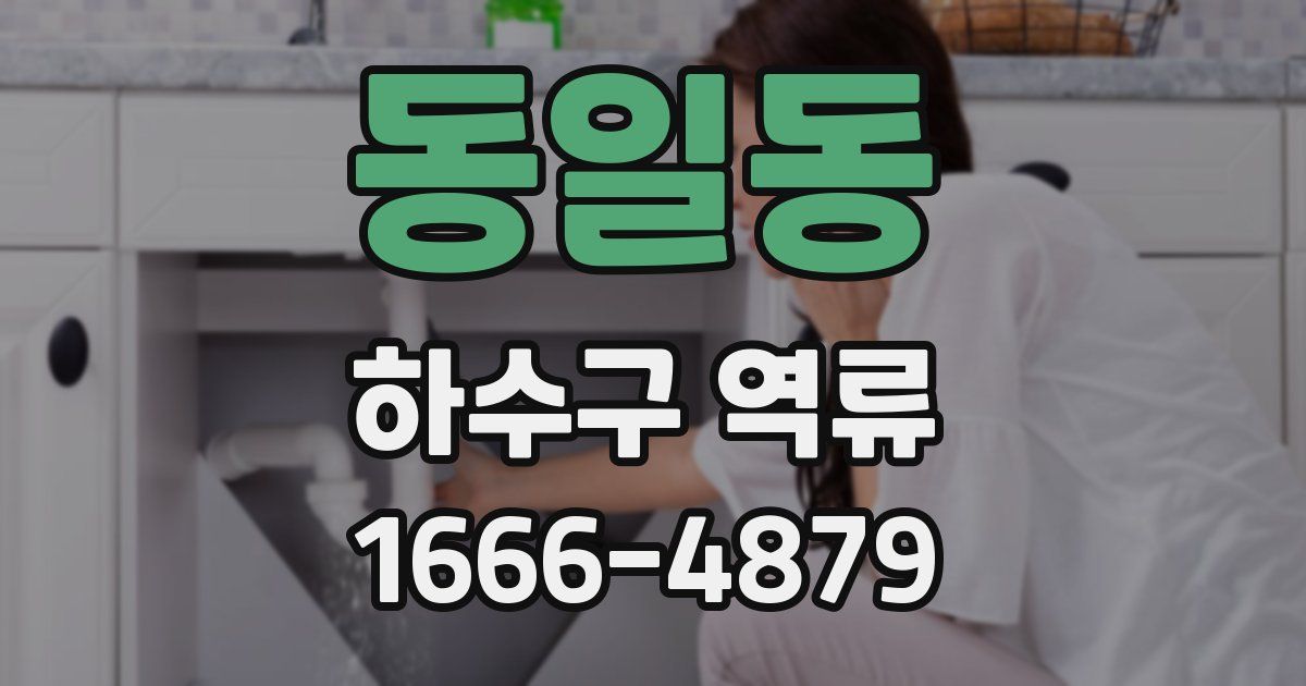동일동 하수구 역류