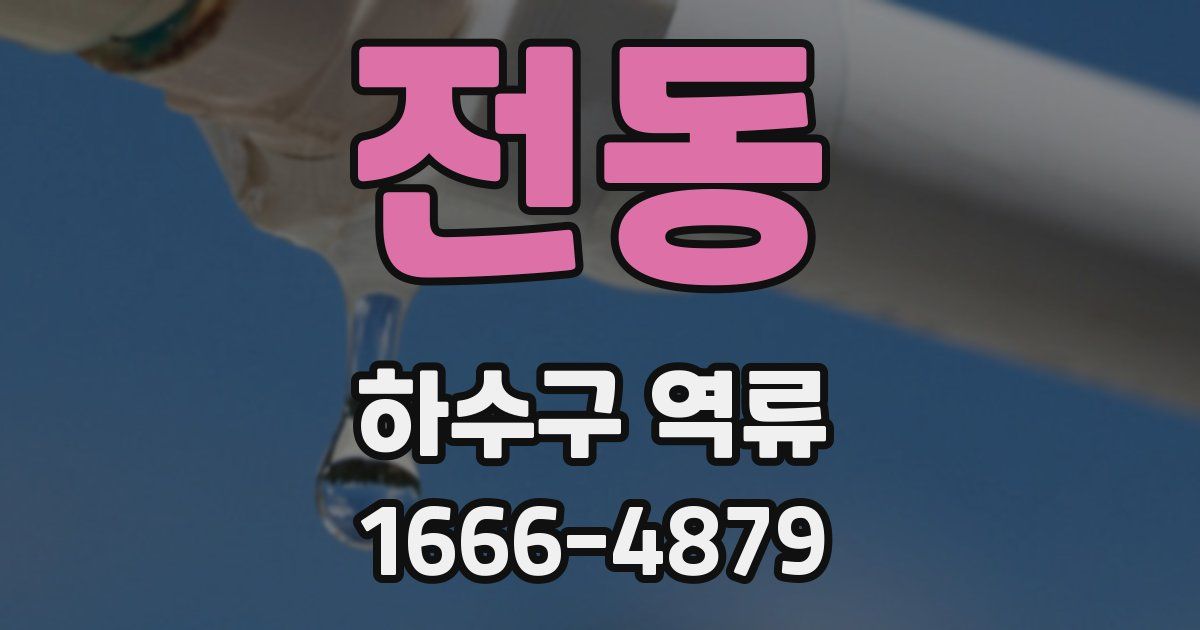 전동 하수구 역류