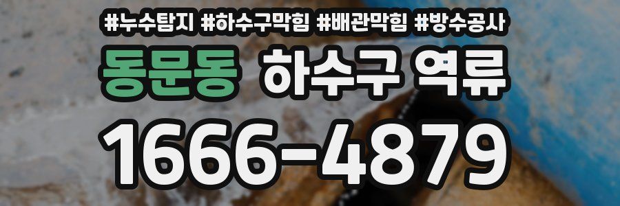 동문동 하수구 역류