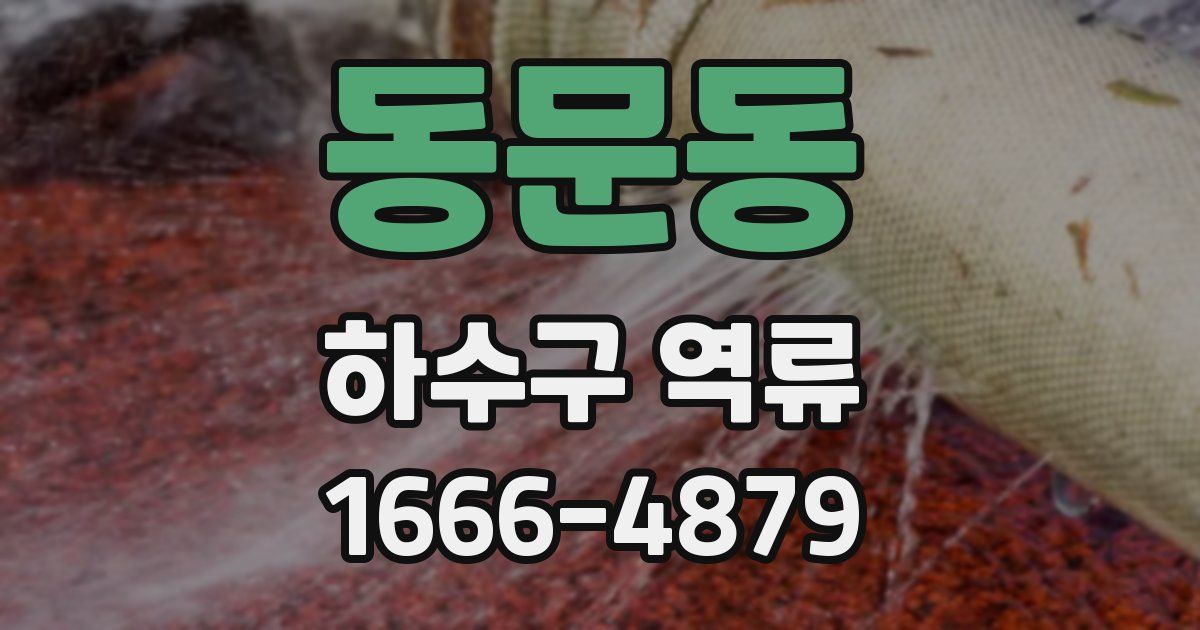 동문동 하수구 역류