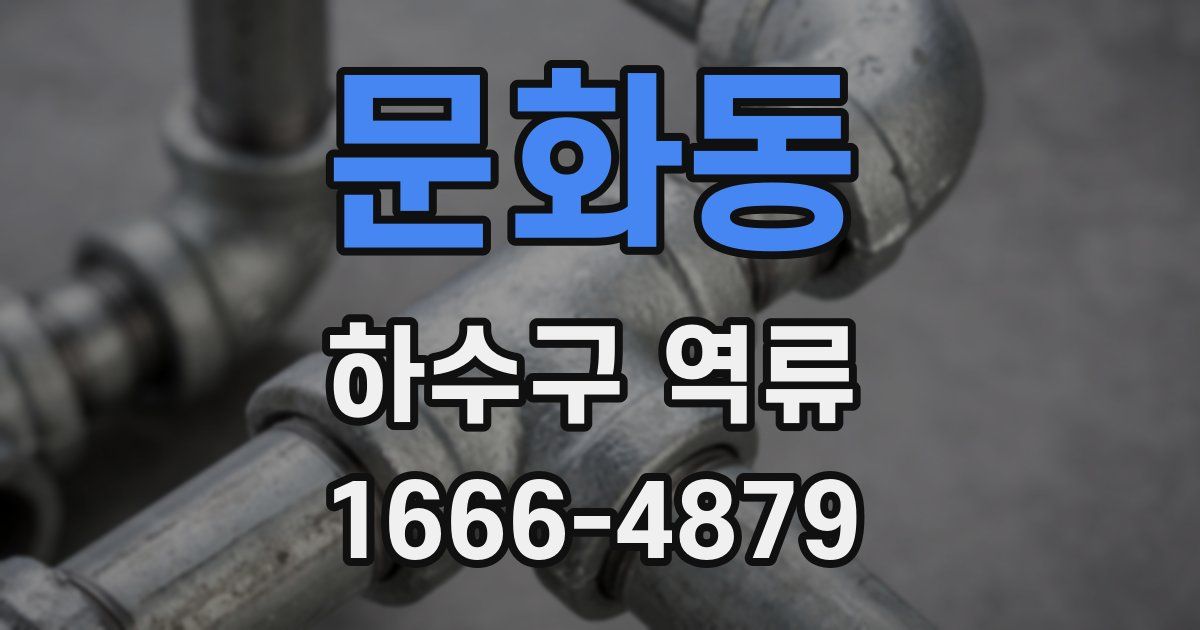 문화동 하수구 역류