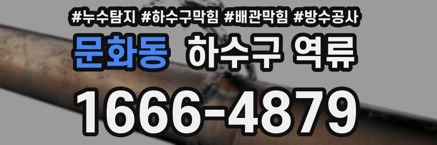 문화동 하수구 역류