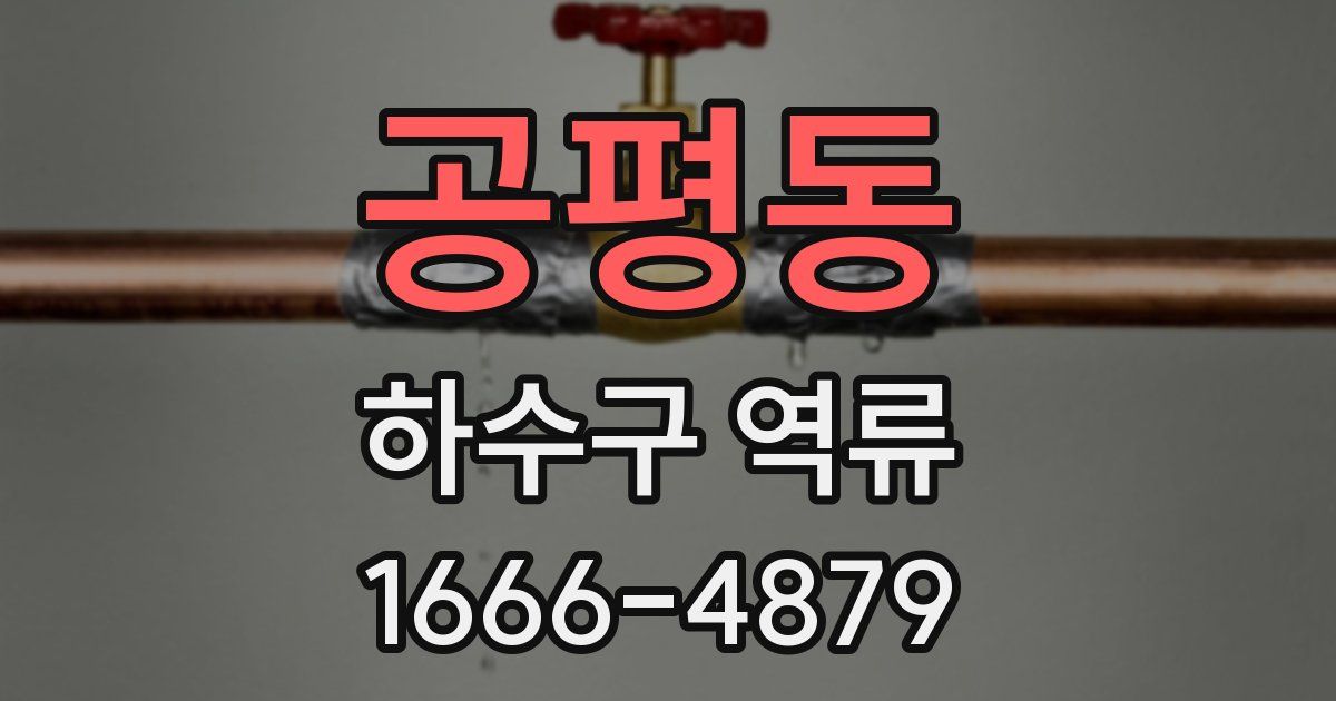 공평동 하수구 역류