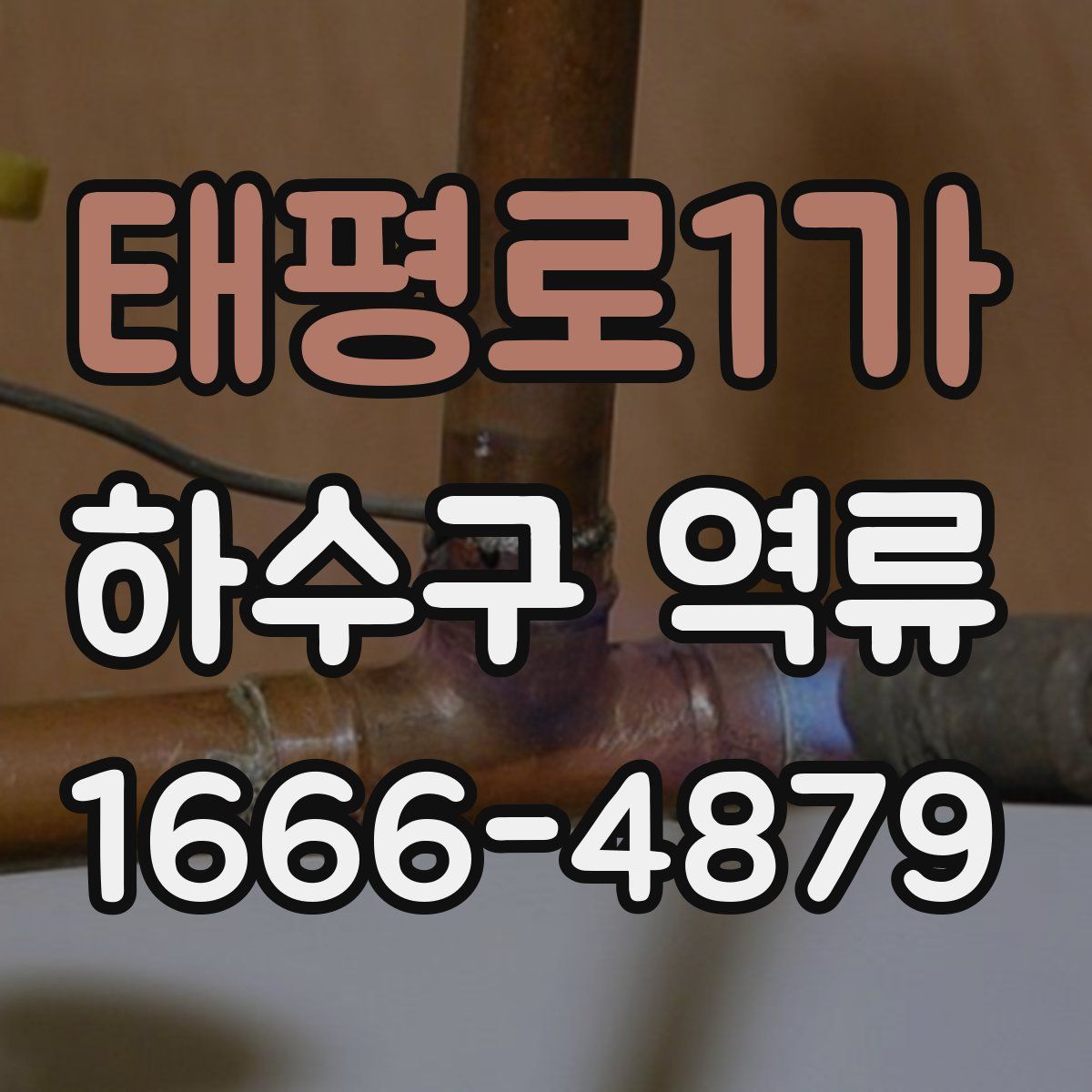 태평로1가 하수구 역류