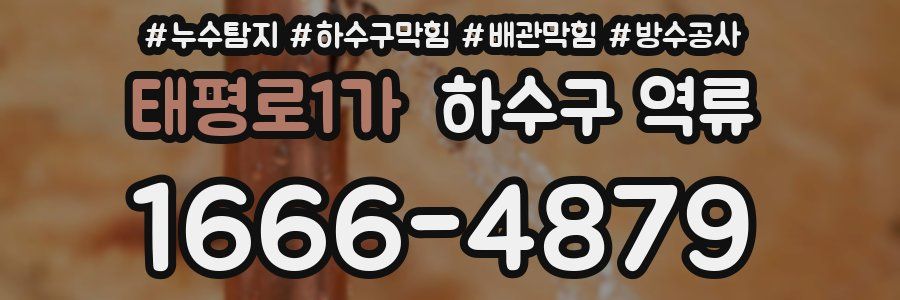태평로1가 하수구 역류