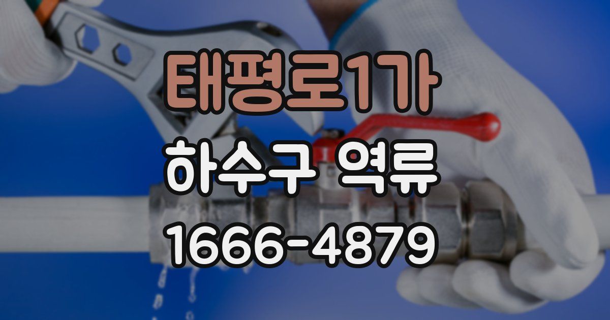 태평로1가 하수구 역류