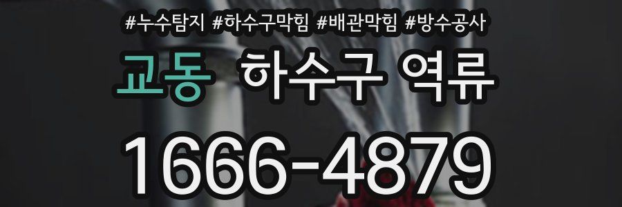교동 하수구 역류