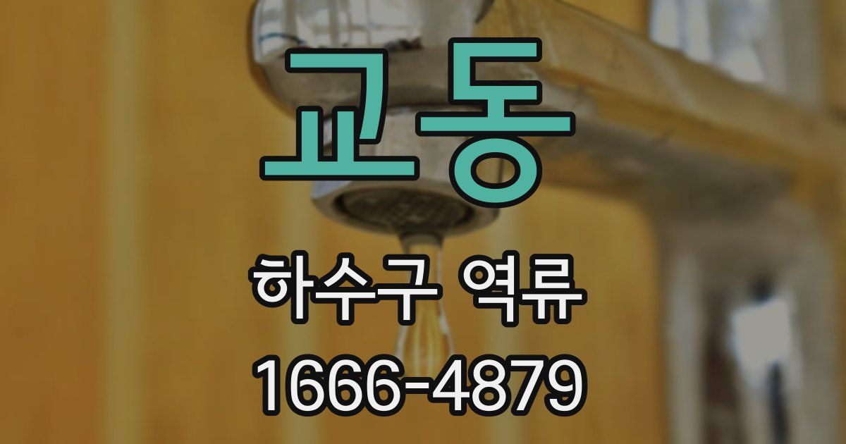 교동 하수구 역류