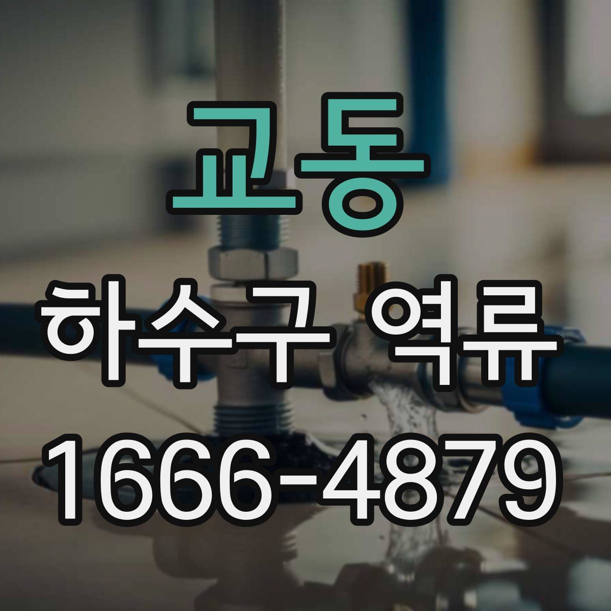 교동 하수구 역류