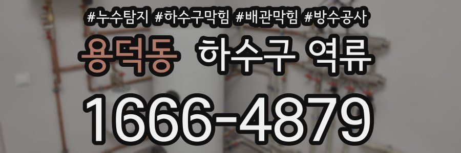 용덕동 하수구 역류