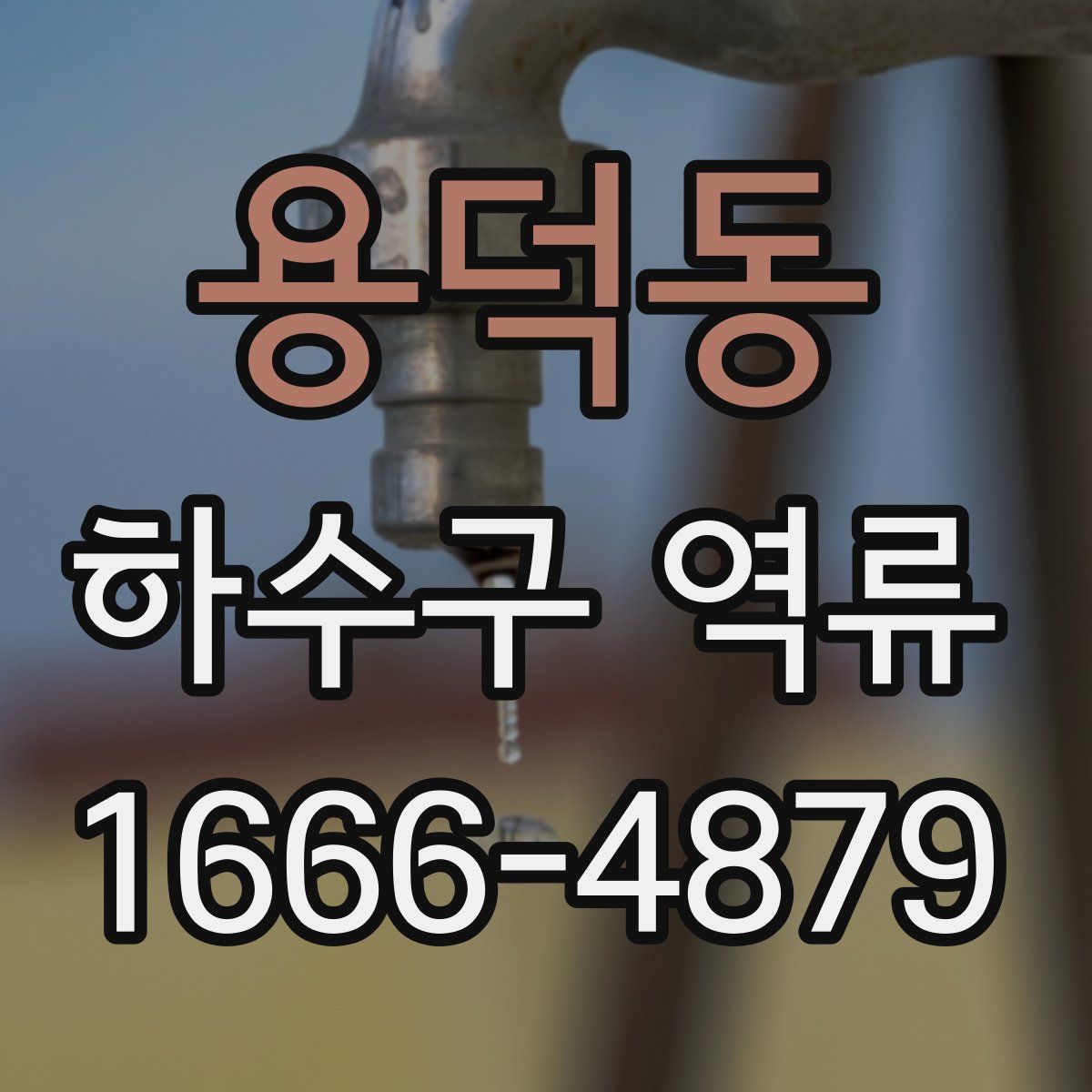 용덕동 하수구 역류