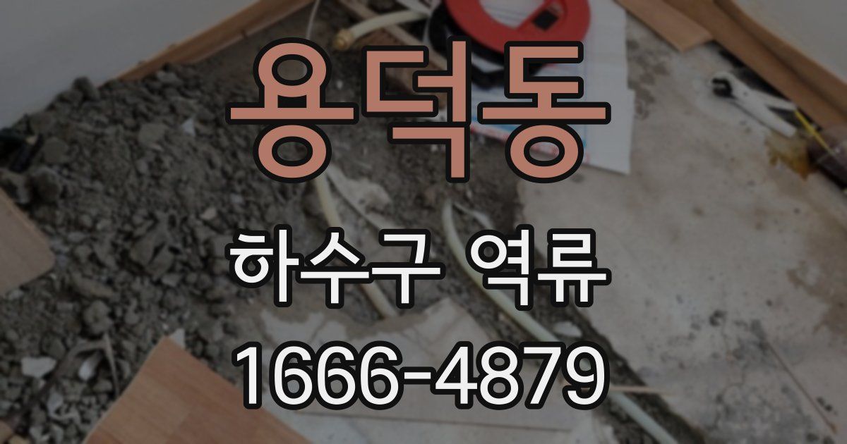 용덕동 하수구 역류