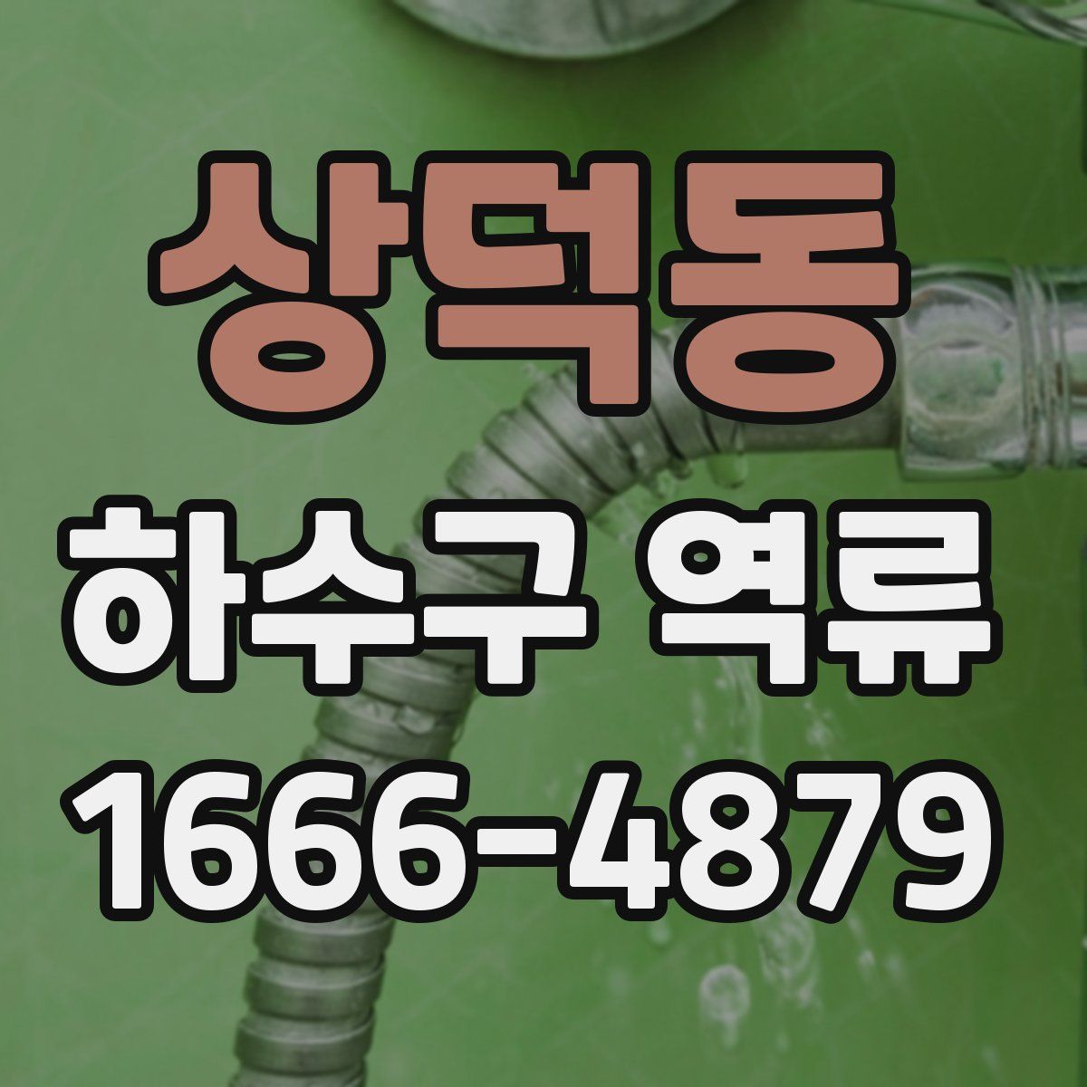 상덕동 하수구 역류