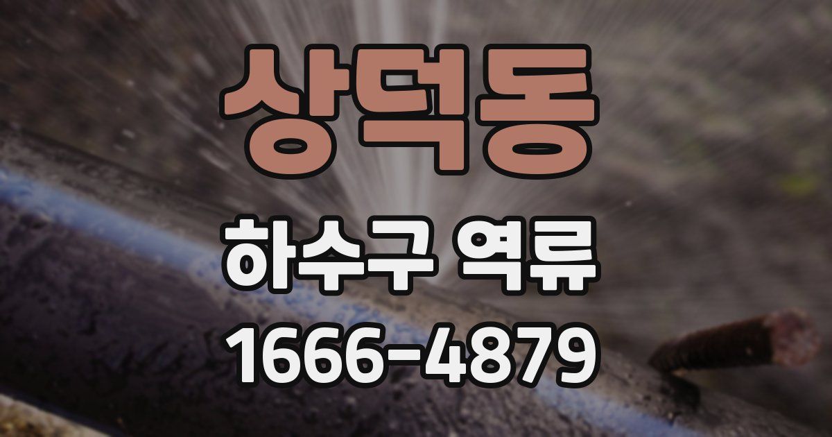 상덕동 하수구 역류