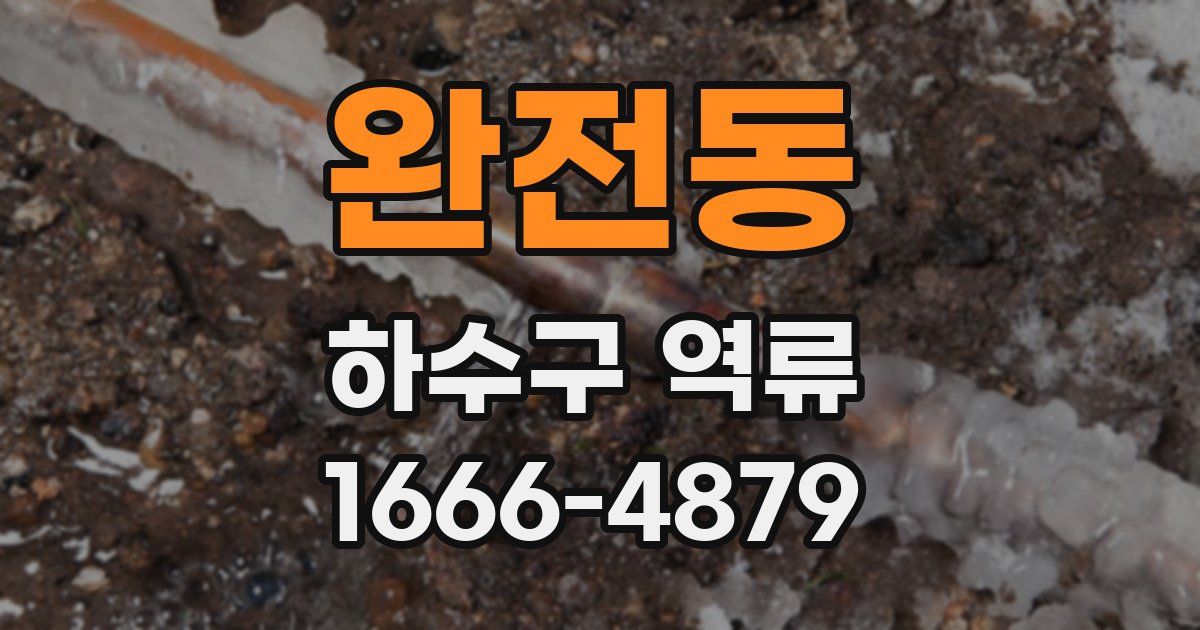 완전동 하수구 역류
