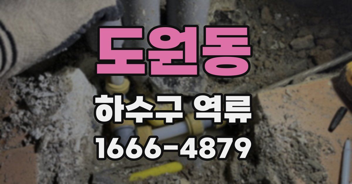 도원동 하수구 역류